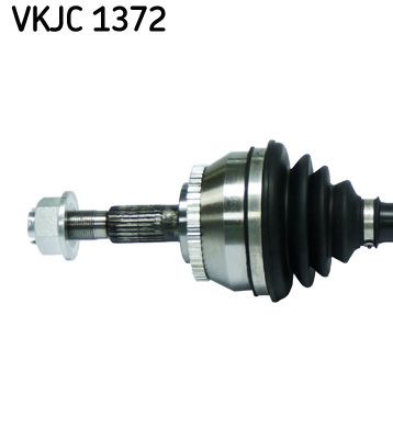 VKJC 1372_2.JPG