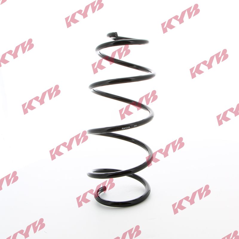 KYB_RA1310-0001.JPG