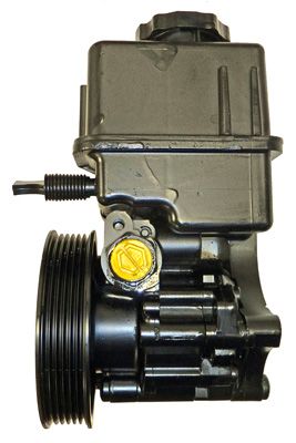 Hydraulikpumpe, Lenkung Hydraulikpumpe, Lenkung