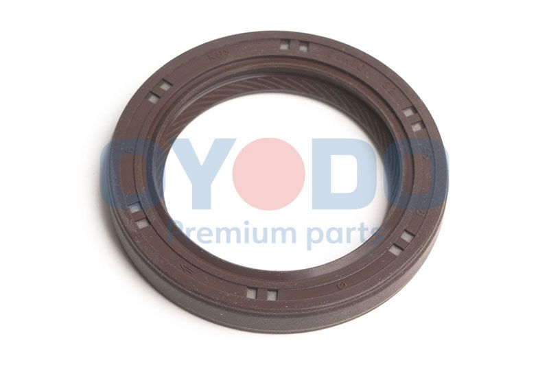 Wellendichtring, Kurbelwelle