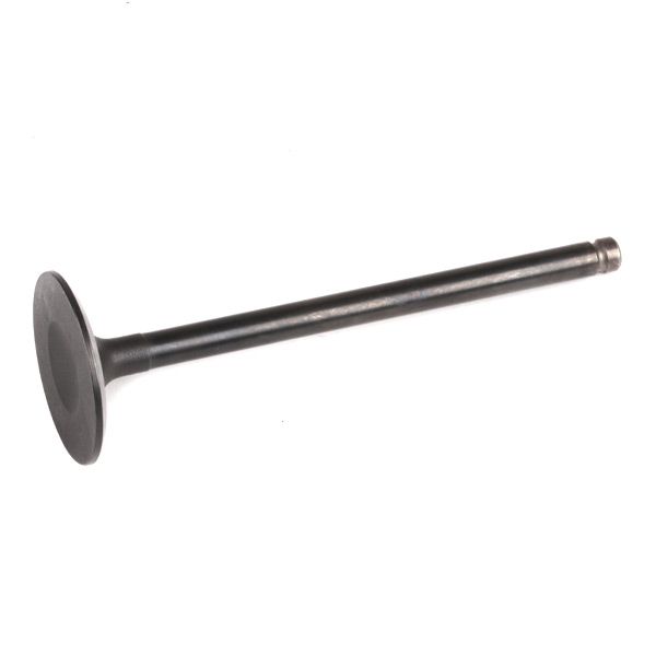 RIDEX 1269I0013 Intake Valve