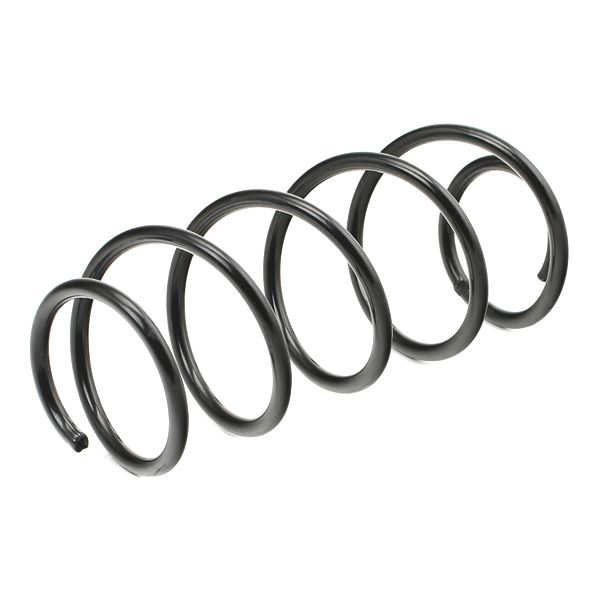 13635538_390.JPG