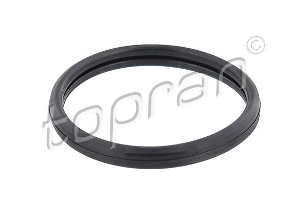 Dichtung, Thermostat