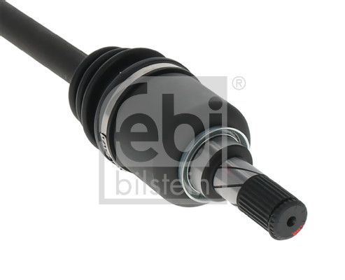 pusašis