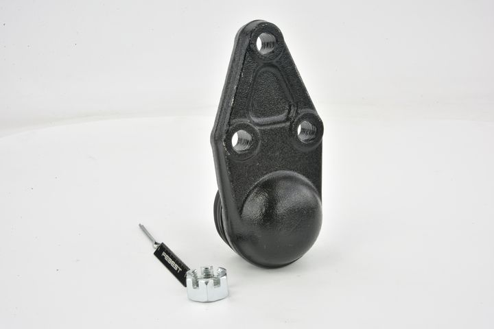 Šarnyras / girgždukas