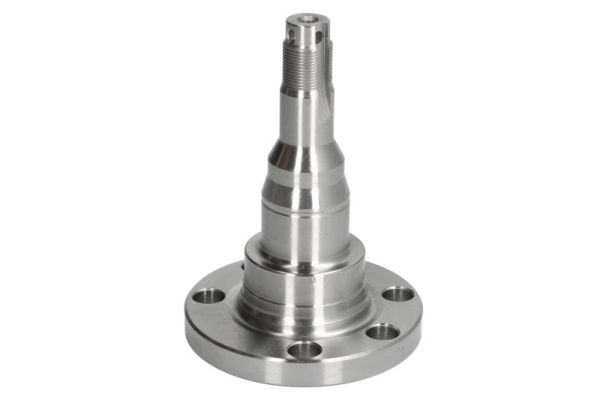 Achszapfen, Achskörper