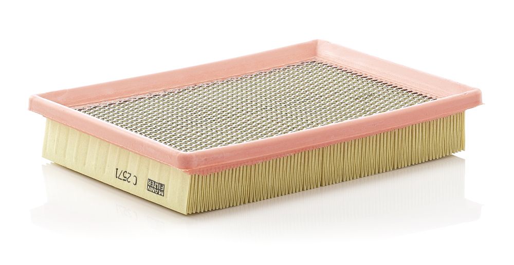 Air Filter C 2571