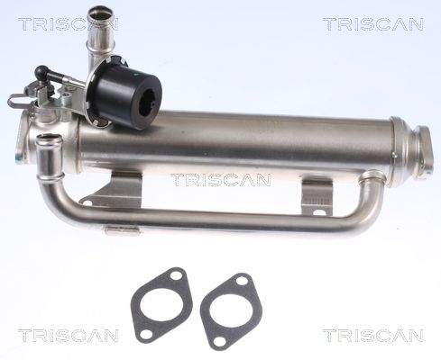 8813 29320 TRISCAN Hűtő, kipufogógáz-visszavezetés