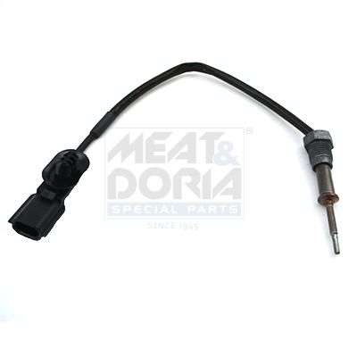 Sensor, Abgastemperatur