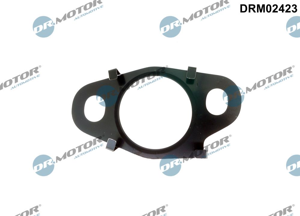 Dr.Motor Automotive DRM02423 - Dichtung, Leitung AGR-Ventil