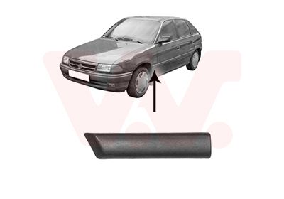 Zier-/Schutzleiste, Kotfl&uuml;gel