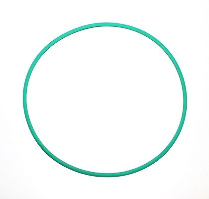 Dichtring