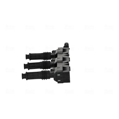 ritė, uždegimas