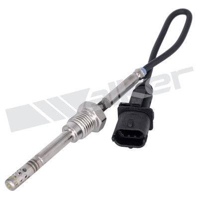 Sensor, de temperatura de gas de escape