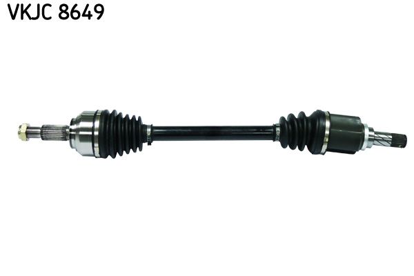 VKJC 8649.JPG