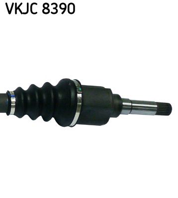 VKJC 8390_3.JPG
