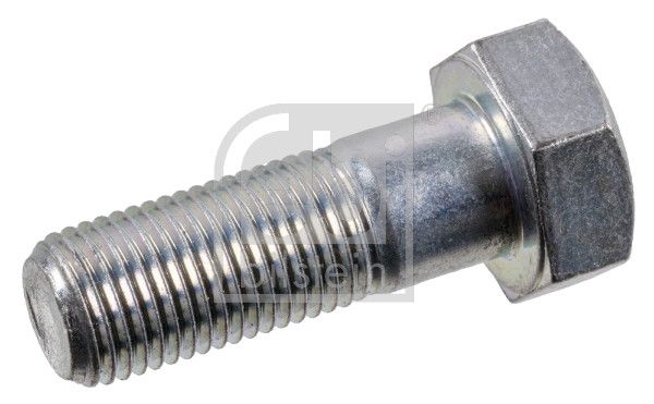 Schraube, Bremssattel