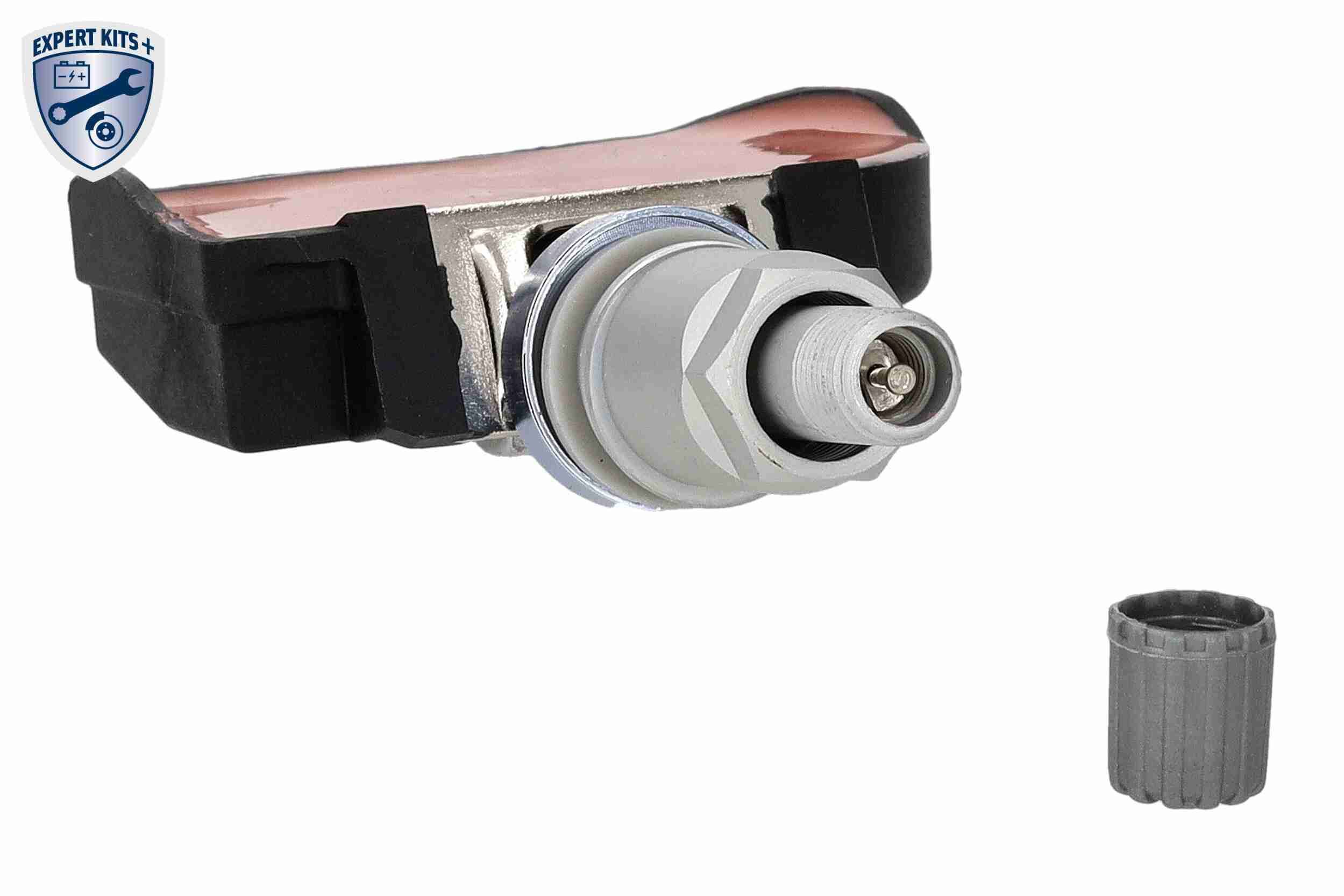 Radsensor, Reifendruck-Kontrollsystem