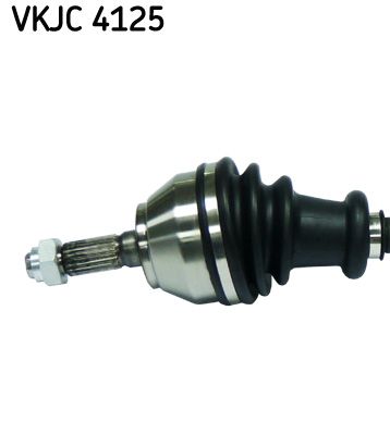 VKJC 4125_2.JPG