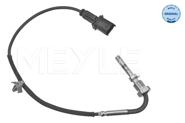 Sensor, Abgastemperatur