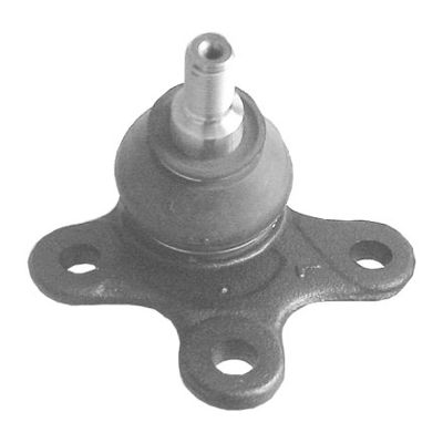 Šarnyras / girgždukas
