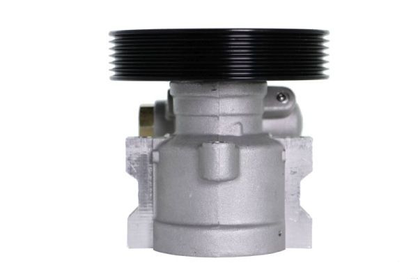 Hydraulikpumpe, Lenkung