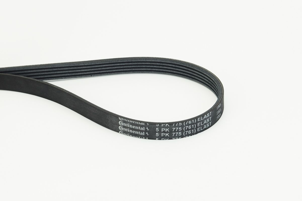 CONTINENTAL CTAM 5PK775 ELAST - Keilrippenriemen