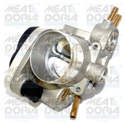 Throttle Body 89115