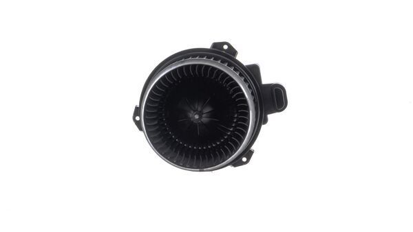 Ventilador del interior