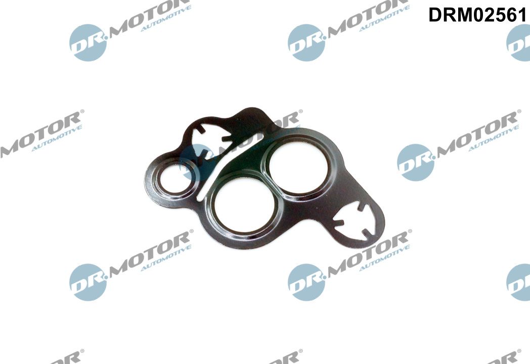 Dr.Motor Automotive DRM02561 - Dichtung, AGR-Ventil