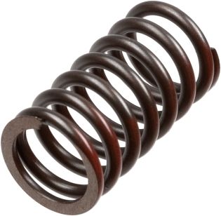 TRW MEF317-6 Clutch Spring Set