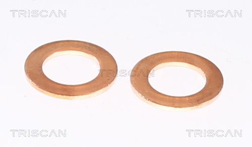 Triscan 8150 80219 - Bremsschlauch