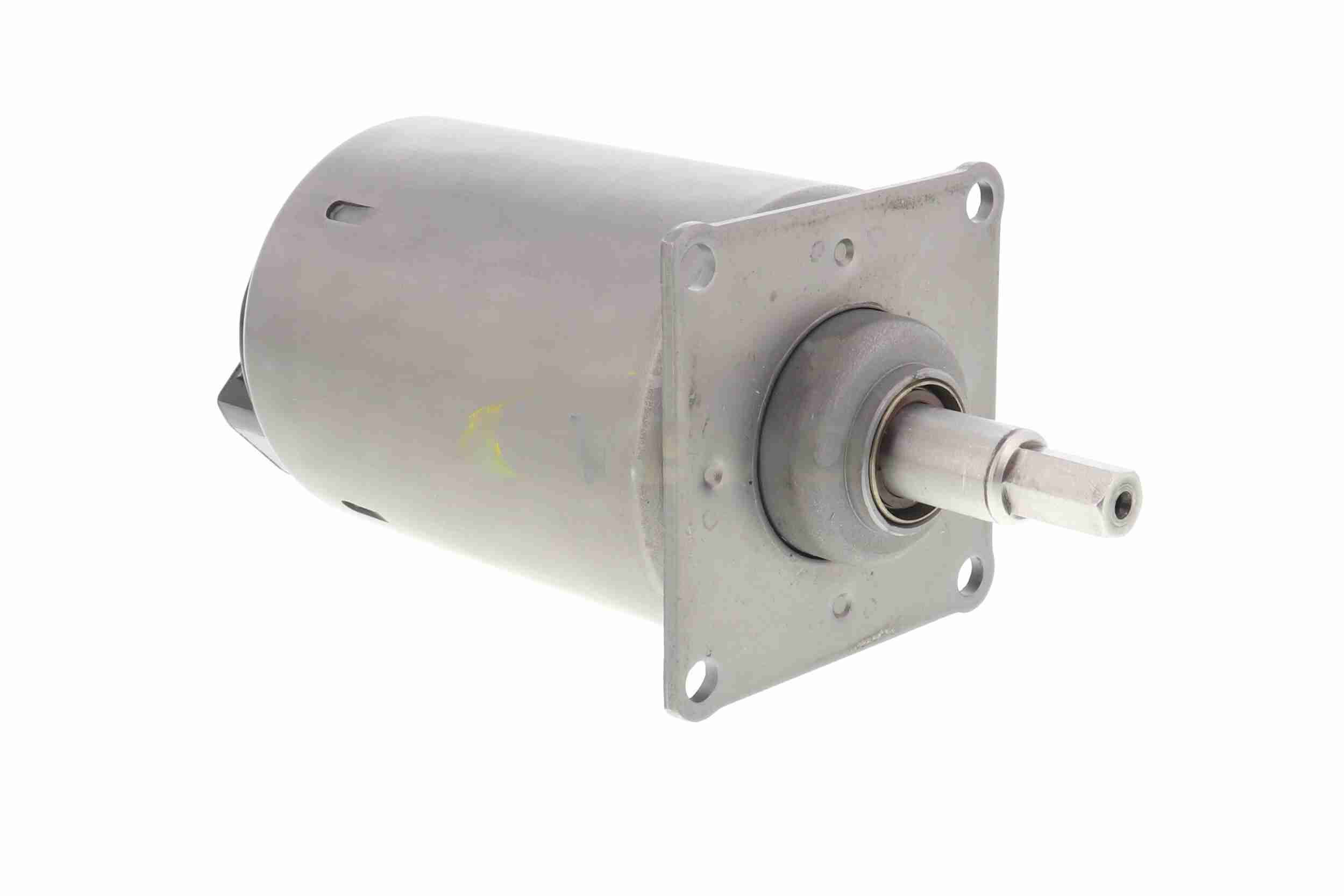 Stellelement, Exzenterwelle (variabler Ventilhub)