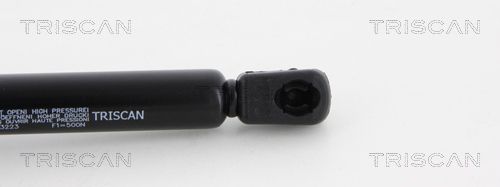 Triscan 8710 23223 Gasfeder, Koffer-/Laderaum