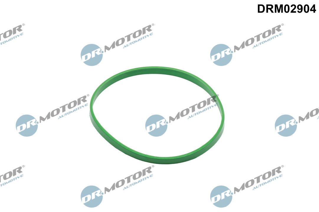 Dr.Motor Automotive DRM02904 Dichtung, Drosselklappenstutzen