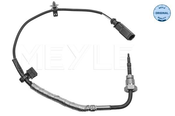 Sensor, Abgastemperatur