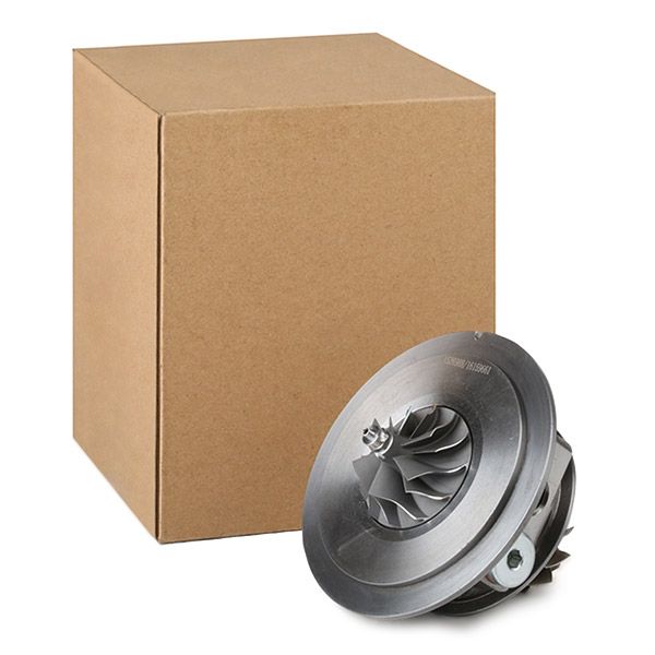 4973C0098 RIDEX Törzscsoport, turbótöltő