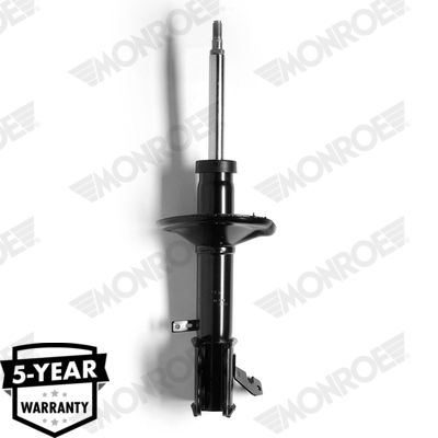 Shock Absorber G16645