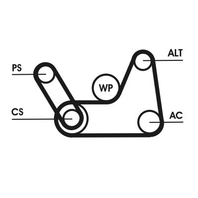 P61019T1.BMP