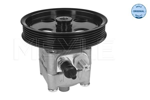 Hydraulikpumpe, Lenkung