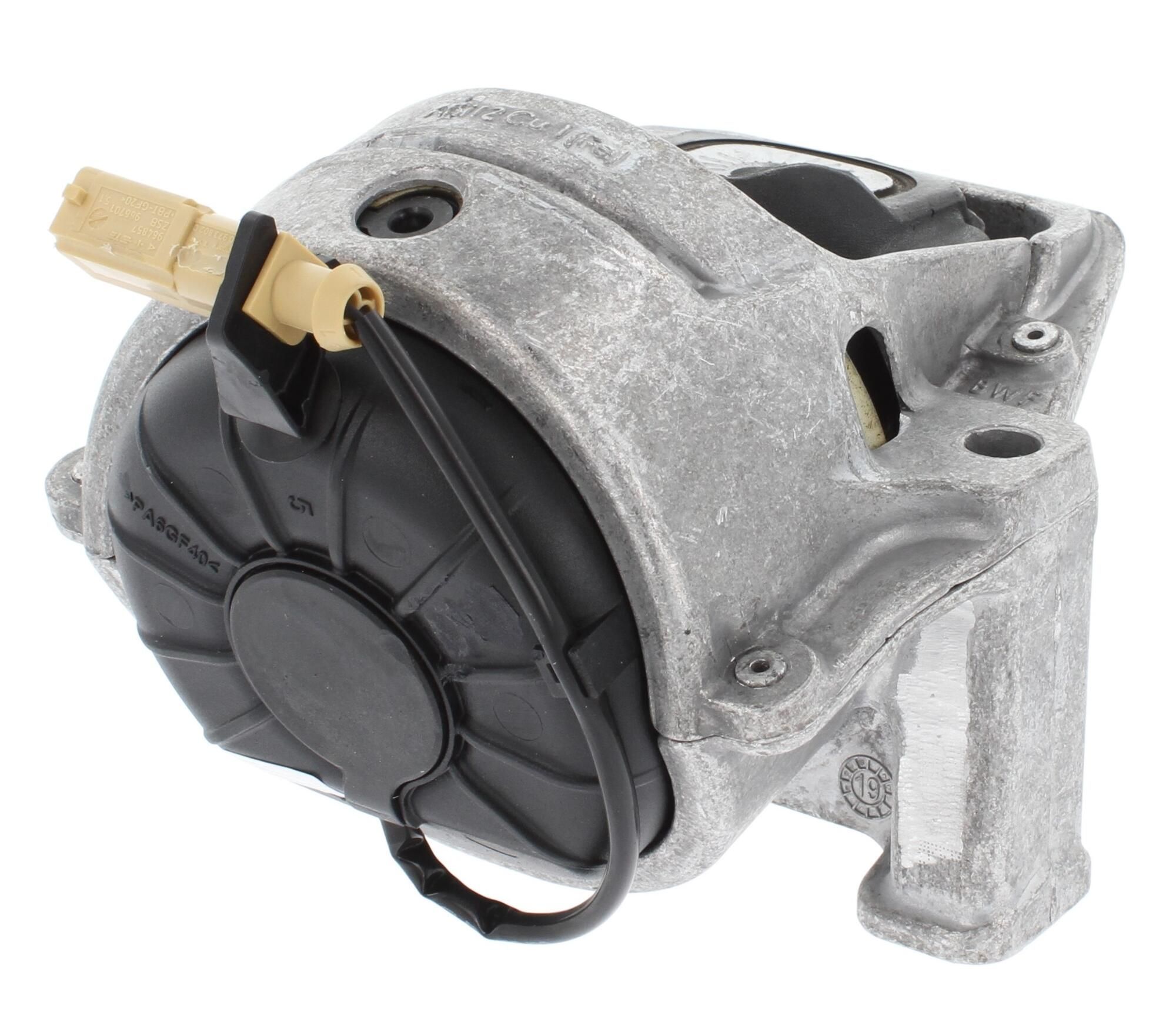 CORTECO 80004473 - Lagerung, Motor