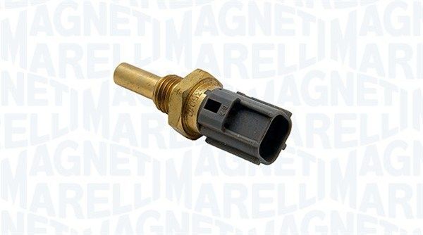 Sensor, coolant temperature 171916011680