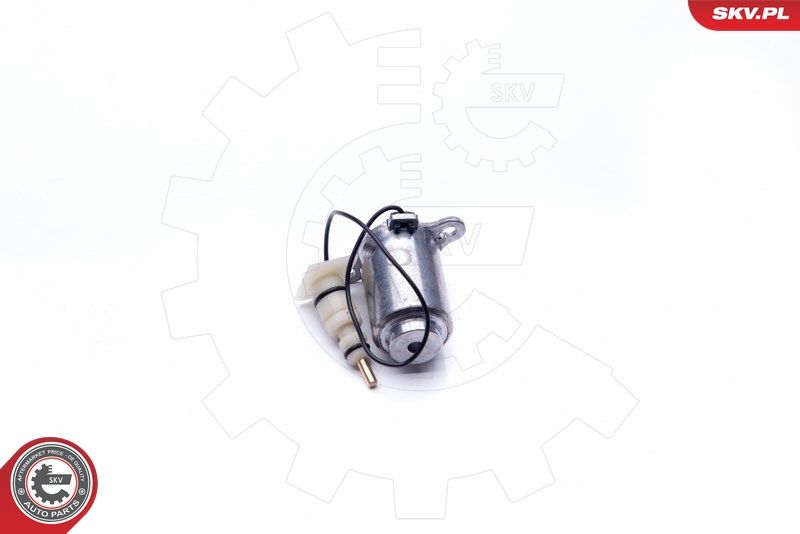 17SKV398 ESEN SKV motorolajszint