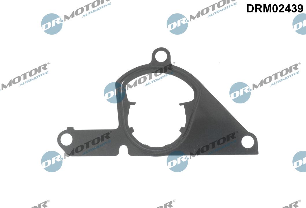Dr.Motor Automotive DRM02439 - Dichtung, Unterdruckpumpe