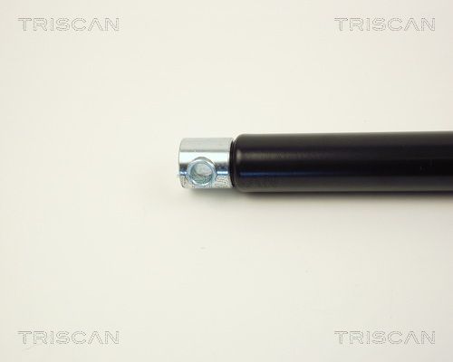 Triscan 8710 2312 Gasfeder, Koffer-/Laderaum