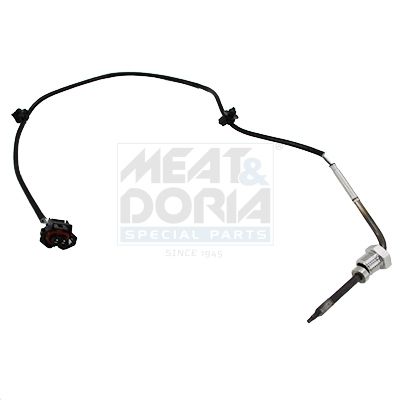 Sensor, Abgastemperatur