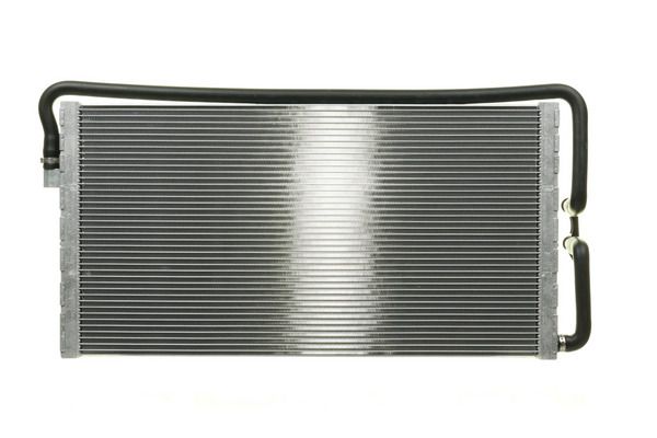 299870746.JPG