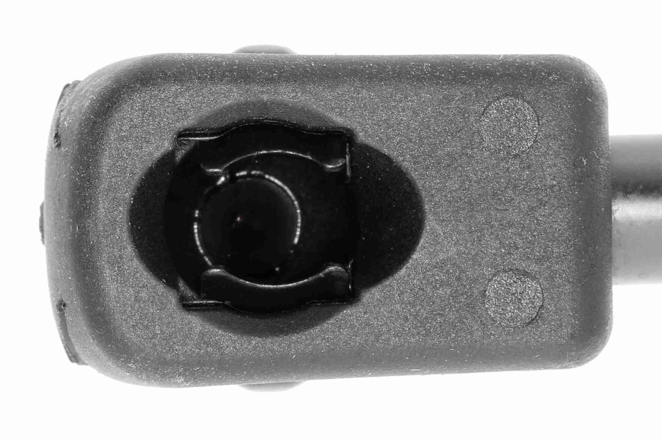 Gasfeder, Koffer-/Laderaum