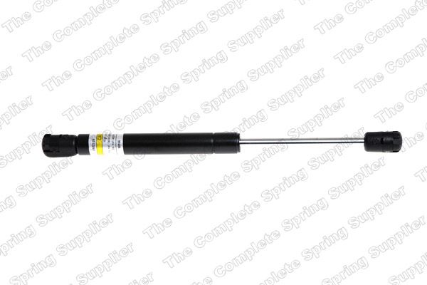 Gasfeder, Koffer-/Laderaum