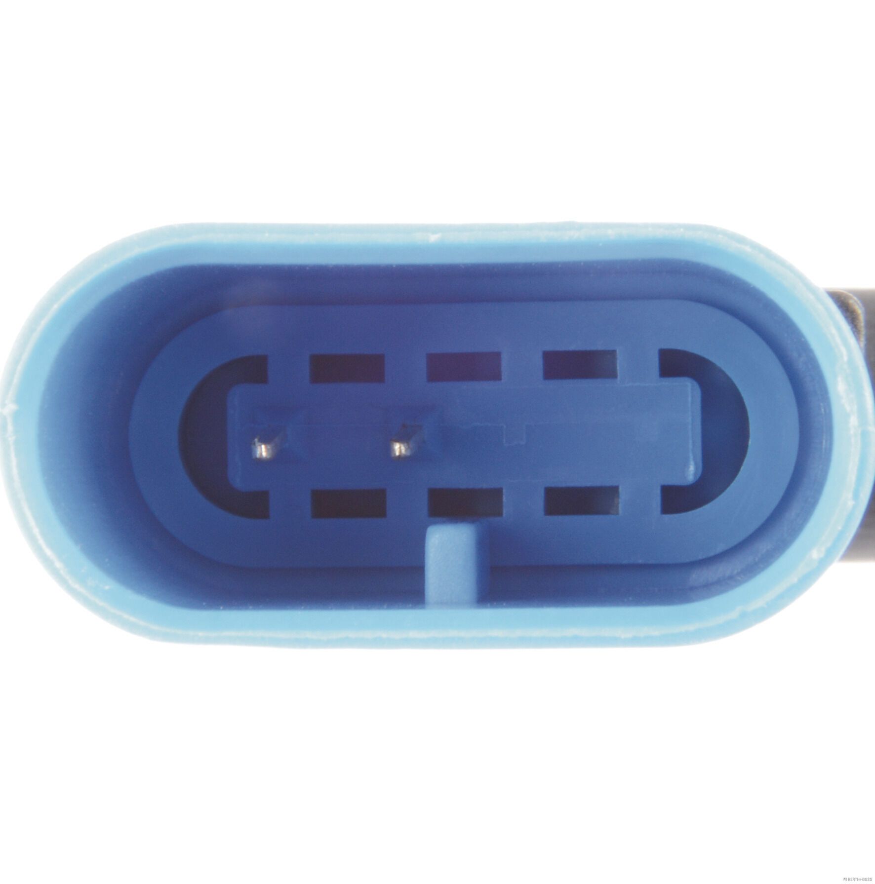 Sensor, Raddrehzahl Sensor, Raddrehzahl